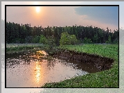 Rzeka, Las, Drzewa, Zachód słońca