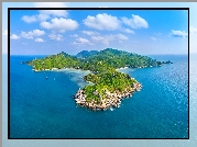 Morze, Zadrzewiona, Wyspa Ko Tao, Prowincja Surat Thani, Tajlandia