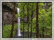 Stany Zjednoczone, Oregon, Park stanowy, Silver Falls State Park, Wodospad South Falls, Omszałe, Drzewa