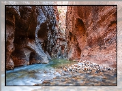 Kanion, Zion Narrows, Rzeka, Virgin River, Park Narodowy Zion, Stan Utah, Stany Zjednoczone