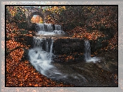 Las, Rzeka, Kaskada, Wodospad, Sitovski Waterfall, Kamienny, Most, Jesień, Liście, Miejscowość Sitowo, Bułgaria