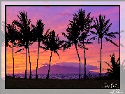 Hawaje, Wyspa Maui, Morze, Palmy, Zachód słońca, Chmury