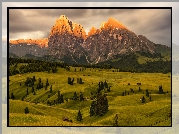 Dolomity, Góry Sassolungo, Płaskowyż, Seiser Alm, Dolina, Val Gardena, Drzewa, Chmury, Drewniane, Domy, Włochy