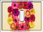 Kwiaty, Kolorowe, Gerbery, Telefon komórkowy