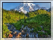 Góry, Stratowulkan, Mount Rainer, Łąka, Kamienie, Strumień, Rzeka, Edith Creek, Park Narodowy Mount Rainier, Stan Waszyngton, Stany Zjednoczone