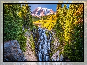 Park Narodowy Mount Rainier, Góry, Stratowulkan Mount Rainier, Wodospad, Myrtle Falls, Drzewa, Stan Waszyngton, Stany Zjednoczone