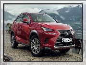 Lexus, NX