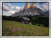 Włochy, Góry, Góra Peitlerkofel, Las, Drzewa, Łąka, Dom, Chmury, Przełęcz Wurzjoch, Południowy Tyrol, Włochy