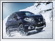 Suzuki SX4 S-Cross, Czarne