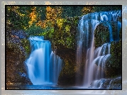 Wodospad, Lower Lewis River Falls, Drzewa, Cougar, Stan Waszyngton, Stany Zjednoczone