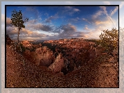 Kanion, Drzewa, Sosny, Korzenie, Park Narodowy Bryce Canyon, Utah, Stany Zjednoczone