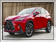 Lexus NX, 2022