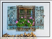 Dom, Okno, Kwiaty, Parapet, Pelargonie