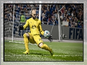 Gra, Fifa 15, Tim Howard