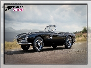 BMW 507, Gra, Forza Horizon 3