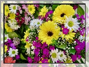 Kolorowe, Kwiaty, Bukiet, Gerbery