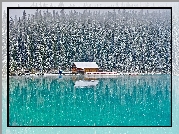 Zima, Dom, Drzewa, Las, Jezioro, Louise Lake, Park Narodowy Banff, Alberta, Kanada