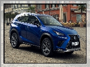 Lexus NX F Sport, 2018