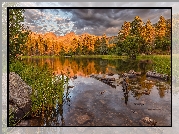 Stany Zjednoczone, Kolorado, Park Narodowy Gór Skalistych, Jezioro, Spraque Lake, Drzewa, Kamienie, Wschód słońca