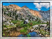 Góry, Sierra Nevada Mountains, Staw, Drzewa, Kamienie, South Lake Tahoe, Kalifornia, Stany Zjednoczone