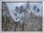 Park Narodowy Yosemite, Kalifornia, Stany Zjednoczone, Drzewa, Góry, Mgła