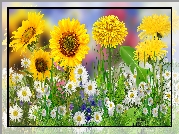 Kwiaty, Słoneczniki, Stokrotki, Mniszki, 2D