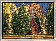 Stany Zjednoczone, Kalifornia, Park Narodowy Yosemite, Drzewa, Kaplica, Kościółek