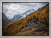 Jesień, Góry, Alpy, Domy, Żółte, Drzewa, Modrzewie, Les Hauderes, Wieś, Szwajcaria