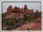 Czerwone, Skały, Rośliny, Park Narodowy Arches, Stan Utah, Stany Zjednoczone