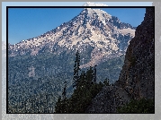 Ośnieżone, Góry, Stratowulkan Mount Rainier, Drzewa, Świerki, Skały, Park Narodowy Mount Rainier, Stan Waszyngton, Stany Zjednoczone