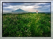 Łąka, Kwiaty, Latarnia morska, Góra, Mount Rishiri, Wyspa Rishiri, Japonia