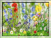 Kolorowe, Kwiaty, Grafika, 2D