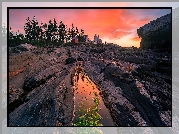 Skały, Latarnia morska, Pemaquid Point Lighthouse, Drzewa, Zachód słońca, Stan Maine, Stany Zjednoczone