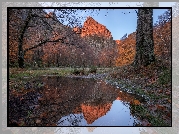 Portugalia, Góry, Serra da Estrela, Park Przyrodniczy Serra da Estrela, Drzewa, Jesień