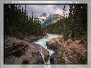 Rzeka, Mistaya River, Skały, Las, Drzewa, Góry, Canadian Rockies, Góra, Mount Sarbach, Park Narodowy Banff, Alberta, Kanada