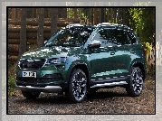 Skoda Karoq Scout