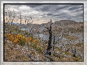 Góry, Drzewa, Jezioro, Park Narodowy Torres del Paine, Patagonia, Chile