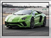 Lamborghini Aventador S, Zielone