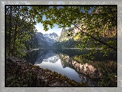 Austria, Góry, Dachstein, Jezioro, Gosausee, Drzewa