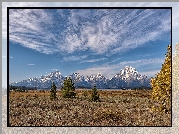Park Narodowy Grand Teton, Góry, Teton Range, Drzewa, Stan Wyoming, Stany Zjednoczone