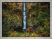 Wodospad, Multnomah Falls, Most, Skały, Drzewa, Hrabstwo Multnomah, Oregon, Stany Zjednoczone