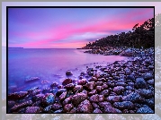 Morze, Brzeg, Kamienie, Drzewa, Niebo, Różowe, Zachód słońca, Bluestone Bay, Tasmania, Australia