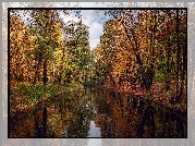Jesień, Rzeka, Kolorowe, Drzewa, Park