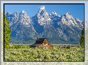 Drewniana, Chata, Stodoła, Góry, Teton Range, Drzewa, Chmury, Park Narodowy Grand Teton, Stan Wyoming, Stany Zjednoczone
