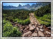 Polska, Góry, Tatry, Dolina, Hala Gąsienicowa, Ścieżka