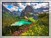 Góry, Jezioro, Grinnell Lake, Kwiaty, Drzewa, Las, Chmury, Park Narodowy Glacier, Montana, Stany Zjednoczone