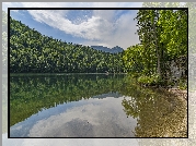 Jezioro, Toplitzsee, Brzeg, Las, Drzewa, Góry, Alpy, Odbicie, Chmury, Austria