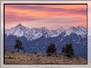 Zachód słońca, Góry, Sangre de Cristo Mountains, Łąka, Drzewa, Trawa, Westcliffe, Kolorado, Stany Zjednoczone