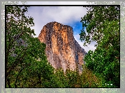 Stany Zjednoczone, Kalifornia, Park Narodowy Yosemite, Góra, El Capitan, Drzewa