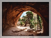 Jaskinia, Skały, Drzewa, Sosny, Park Narodowy Arches, Utah, Stany Zjednoczone